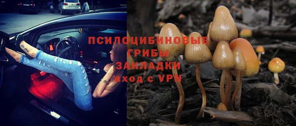 экстази Арсеньев
