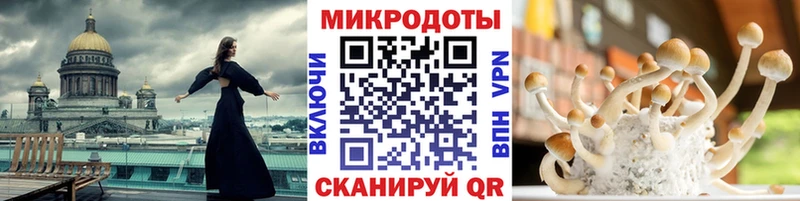Купить закладки  Микунь  Галлюциногенные грибы ЛСД 